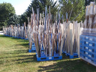 Best Fish Attractor Kits for New Pond Stocking 2026