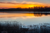 What You Should Know About Crappie Habitats for Fish