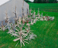 How Reclaimed PVC Fish Structures Have a Positive Environmental Impact