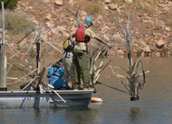 AZGFD’s habitat enhancements with Fishiding habitat gets green light to begin installations