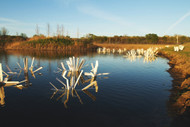Best PVC fish habitat structures compared 2026
