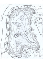 Best fish structures for shallow water ponds 2026