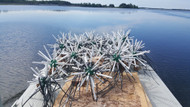 Best PVC Fish Habitat Structures Compared for 2026