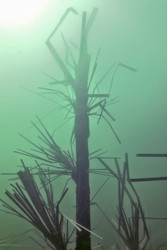 Can copepods and zooplankton colonize PVC fish habitat?