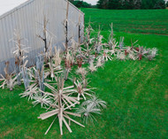Can you combine fish habitat mats and fish attractors in one pond?