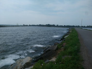 Electrofishing surveys: Fish habitat placement in 2026