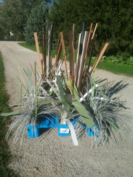 Fish habitat kit pack size benchmarks by product 2026