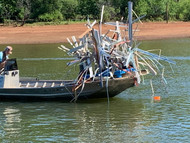 When do fish start using new habitat? 2026 guide