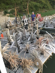 How Much Fish Habitat for a 1-Acre Pond? | Fishiding