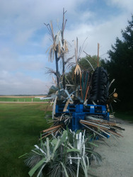 Lake association fish habitat workdays: 2026 guide
