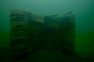 Lake drawdown to fish habitat installation: 2026 workflow