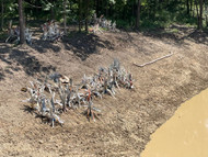 Pond construction and fish habitat installation: 2026