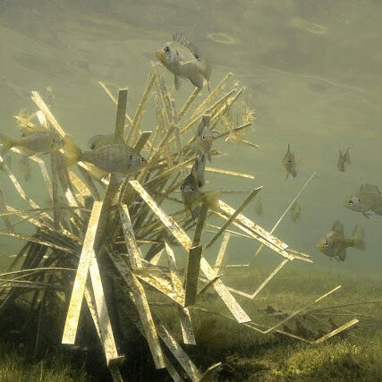 Best fish habitat structures for smallmouth bass in 2026