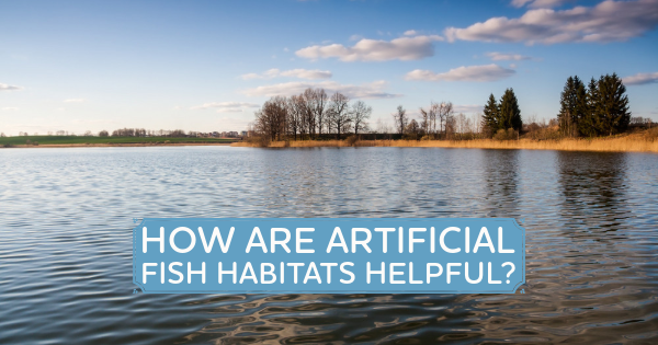 Understanding the Role of Artificial Fish Habitats