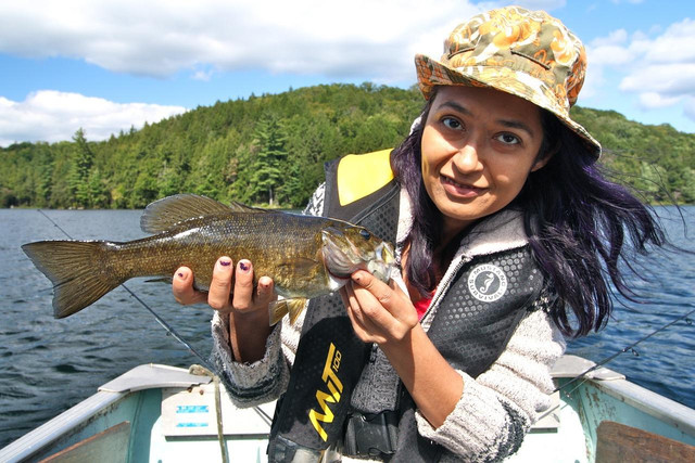 The Importance Of Bass Habitat Structure For Fishery Management