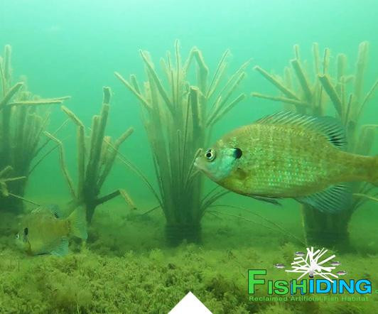Fish Hiding Structures for Ponds