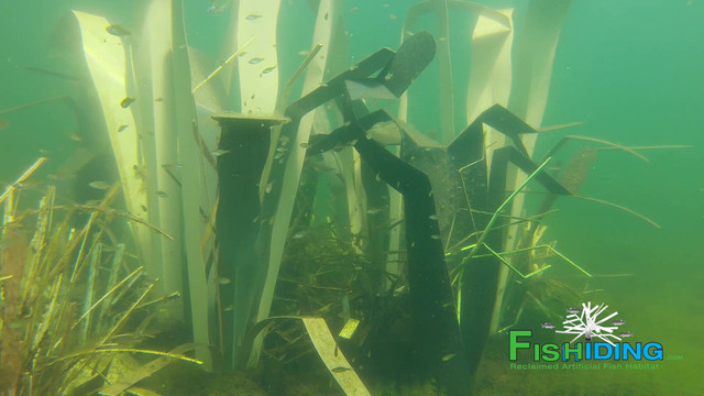 Where Do Fish Hold in Winter? Pond and Lake Guide 2026