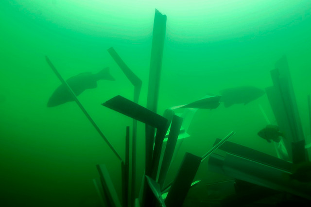 The Science Behind Fishiding Artificial Fish Habitat (part 7 of 10) Underwater Video