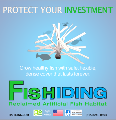 Is The Base The Place Where Artificial Fish Habitat Begins?