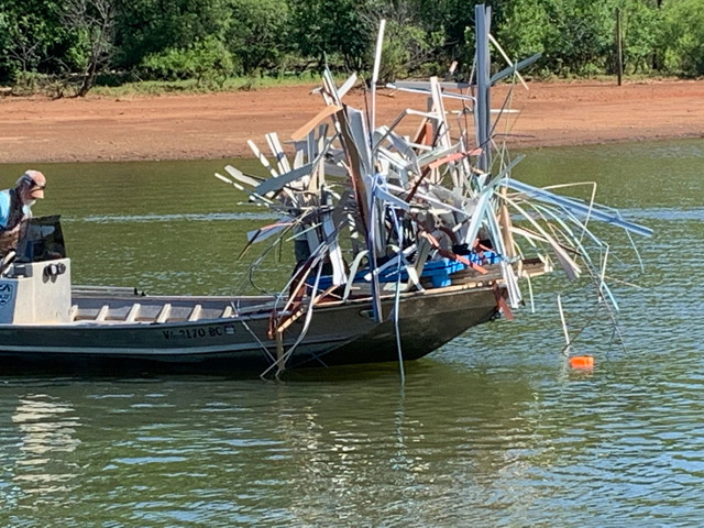 How long does it take for fish to start using new habitat structures?