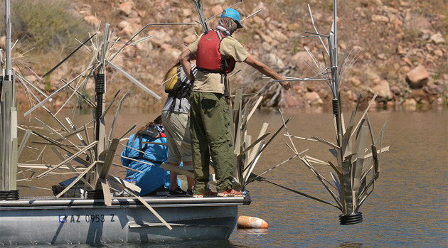 arizona-boat-drop.750.jpg