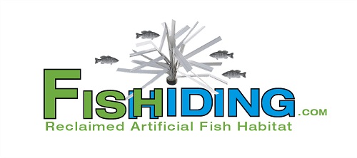 Fishiding White Logo