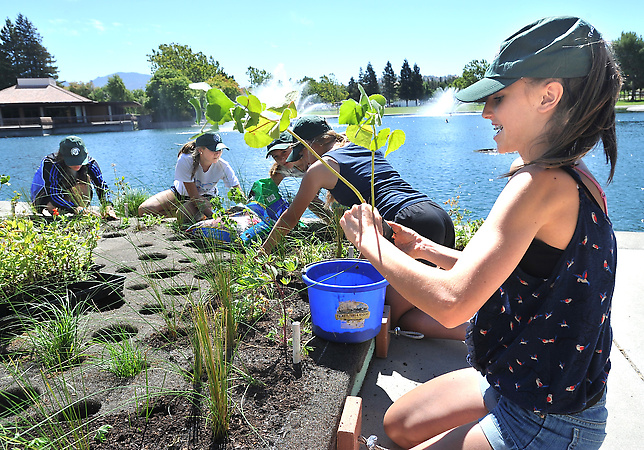 Walnut Creek Floating Island project