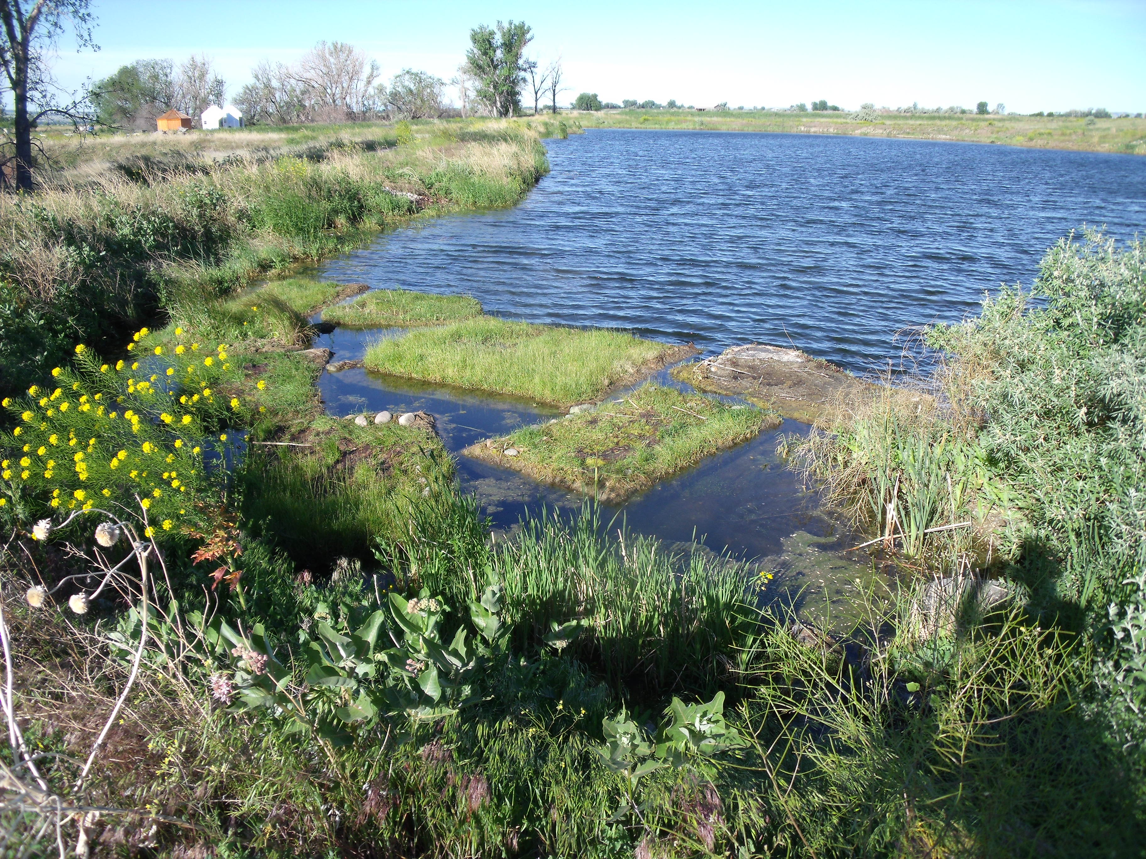 shepherd-montana-066.jpg