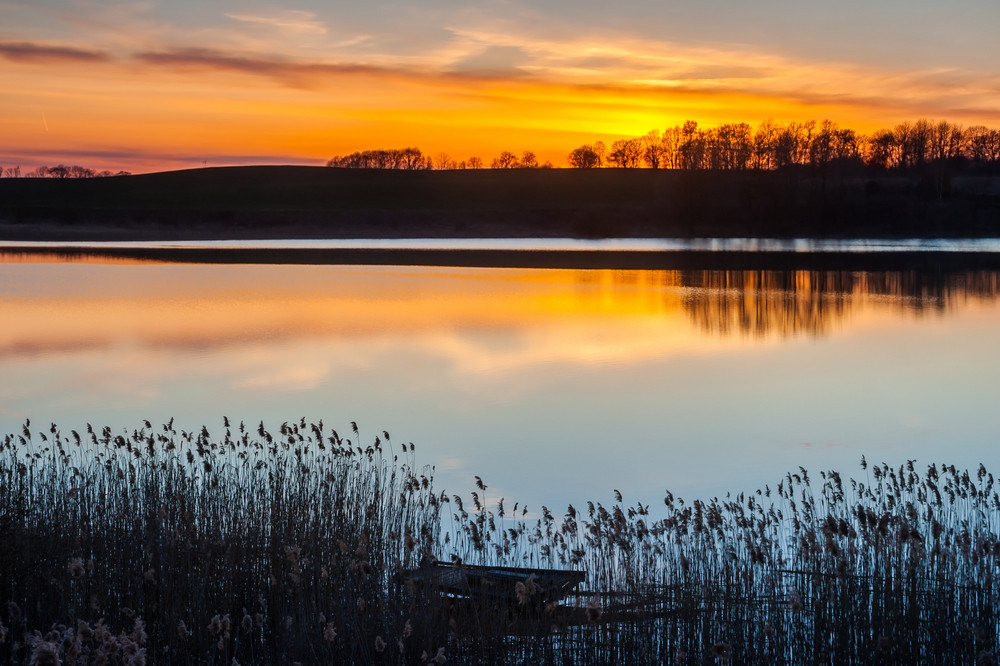 Dunce Fish What You Should Know About Crappie Habitats for Fish - Fishiding ...