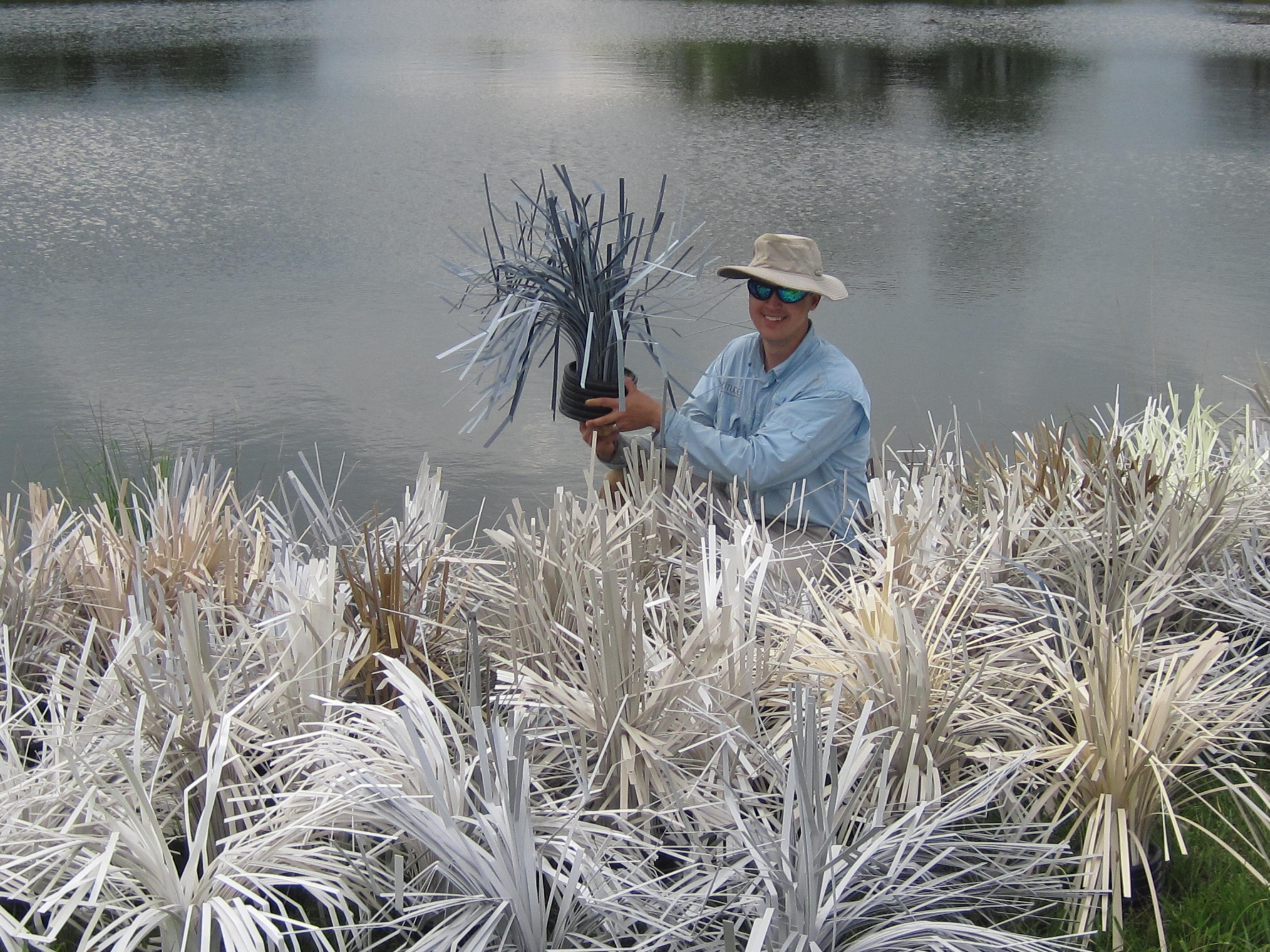 Bass Habitat