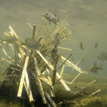 Cradle shallow habitat