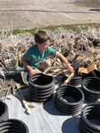 Loose fine cradle strands for shallow dense habitat.