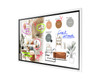 Samsung (WMF-X) Flip Pro 65" 4K Interactive Display
