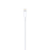 Clearance Apple Lightning to USB 2.0 Cable - 1.0m (MUQW3ZA/A)