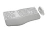 KENSINGTON DUAL WIRELESS ERGO KEYBOARD & MOUSE - GREY