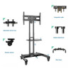 North Bayou TV Trolley Cart (43" - 65" Max 45kg)