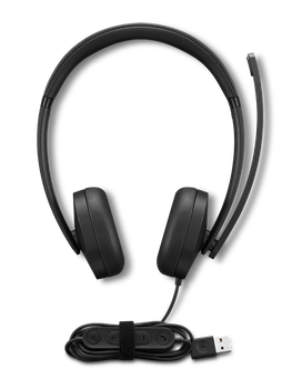 LENOVO GEN 2 USB STEREO BUSINESS HEADSET