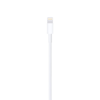 Clearance Apple Lightning to USB 2.0 Cable - 1.0m (MUQW3ZA/A)