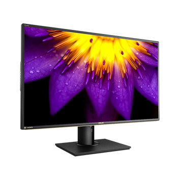 ASUS PA329Q 32" 4K Monitor, 3840x2160, 5ms, 300 nits, Quantum Dot (PA329Q)