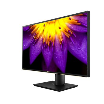 ASUS PA329Q 32" 4K Monitor, 3840x2160, 5ms, 300 nits, Quantum Dot (PA329Q)