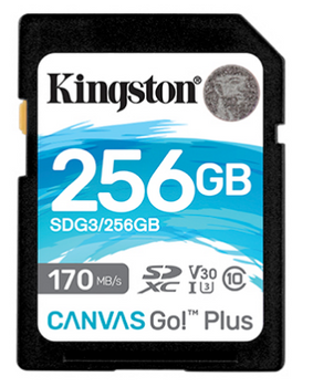 256GB SDXC Canvas Go Plus 170R C10 UHS-I U3 V30