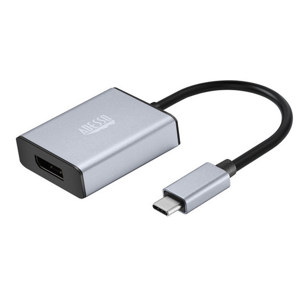 USB-C TO DISPLAY PORT ADAPTER