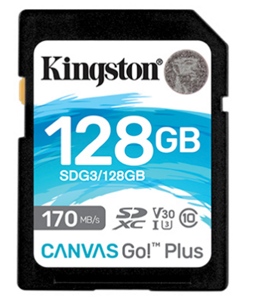 128GB SDXC Canvas Go Plus 170R C10 UHS-I U3 V30