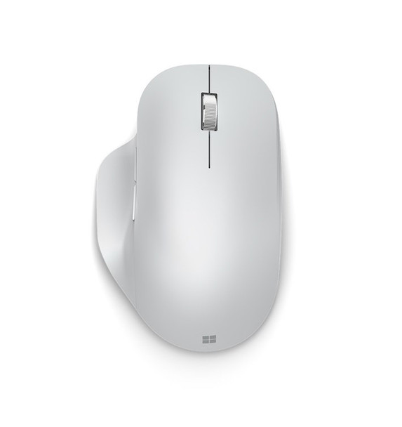 Microsoft Wireless Ergonomic Mouse - Retail Box (Glacier)