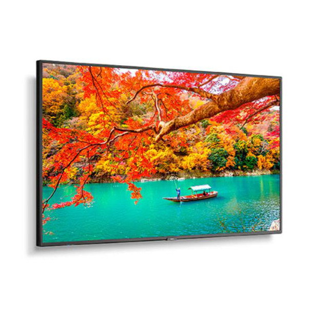 NEC MA551 43" Wide Color Gamut 4K UHD Professional Display/ 3840x2160 / 500 cd/m2