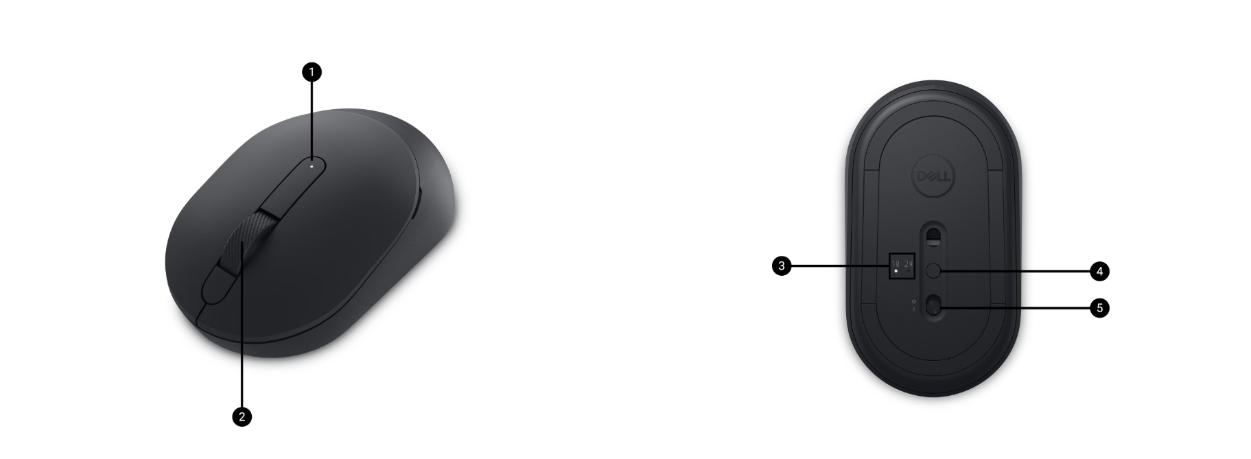 screenshot-2025-06-13-130047.png