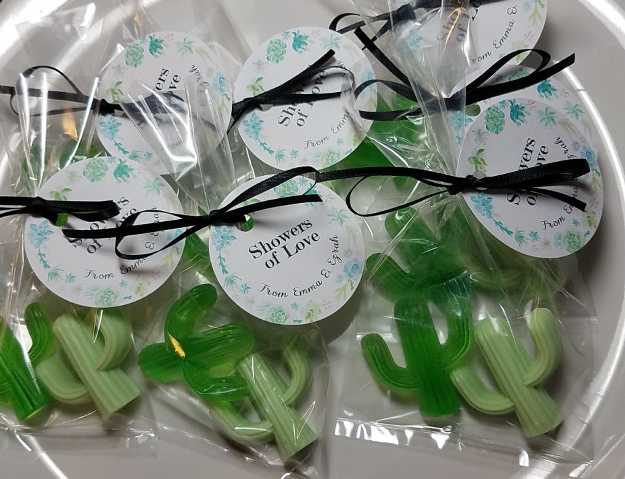 Cactus Theme Party Favors