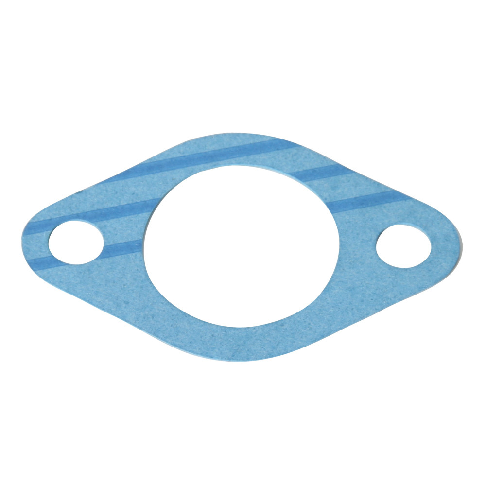 Water Pump Gasket