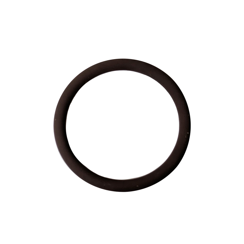 -20 FKM O-Ring for Wiggins Bung (QM-420620-5)