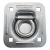 Recessed D Ring Quarter-Max